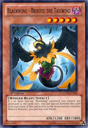 Blackwing - Brisote the Tailwind (STOR-EN008) - Storm of Ragnarok 1st Edition Storm of Ragnarok Yugioh Single  Squirtle Squad Card Shop.