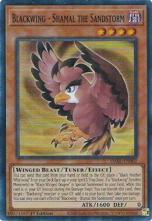 Blackwing - Shamal the Sandstorm (DABL-EN002) - Darkwing Blast 1st Edition Darkwing Blast Yugioh Single  Squirtle Squad Card Shop.