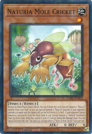 Naturia Mole Cricket (DABL-EN020) - Darkwing Blast 1st Edition Darkwing Blast Yugioh Single  Squirtle Squad Card Shop.