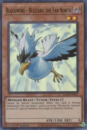 Blackwing - Blizzard the Far North (BLCR-EN059) - Battles of Legend: Crystal Revenge 1st Edition Battles of Legend: Crystal Revenge Yugioh Single  Squirtle Squad Card Shop.