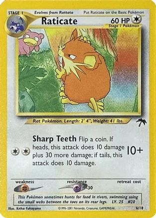 Raticate 006  Southern Islands - Promo Southern Islands Pokemon Single  Squirtle Squad Card Shop.