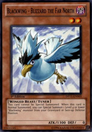Blackwing - Blizzard the Far North (DP11-EN003) - Duelist Pack 11: Crow 1st Edition Duelist Pack 11: Crow Yugioh Single  Squirtle Squad Card Shop.