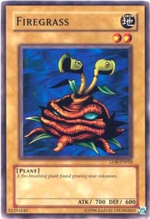 Firegrass (LOB-EN018) - Legend of Blue Eyes White Dragon (Worldwide English) Unlimited Legend of Blue Eyes White Dragon (Worldwide English) Yugioh Single  Squirtle Squad Card Shop.