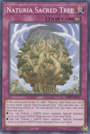 Naturia Sacred Tree (SDBT-EN037) - Structure Deck: Beware of Traptrix 1st Edition Structure Deck: Beware of Traptrix Yugioh Single  Squirtle Squad Card Shop.
