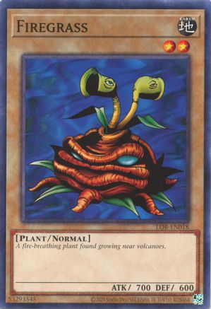 Firegrass (LOB-EN018) - Legend of Blue Eyes White Dragon (25th Anniversary Edition) Unlimited Legend of Blue Eyes White Dragon (25th Anniversary Edition) Yugioh Single  Squirtle Squad Card Shop.