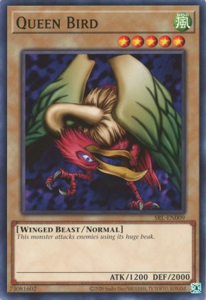 Queen Bird (SRL-EN009) - Spell Ruler (25th Anniversary Edition) Unlimited Spell Ruler (25th Anniversary Edition) Yugioh Single  Squirtle Squad Card Shop.