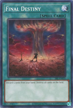 Final Destiny (SRL-EN035) - Spell Ruler (25th Anniversary Edition) Unlimited Spell Ruler (25th Anniversary Edition) Yugioh Single  Squirtle Squad Card Shop.