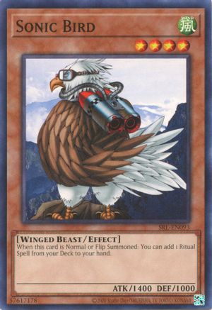 Sonic Bird (SRL-EN093) - Spell Ruler (25th Anniversary Edition) Unlimited Spell Ruler (25th Anniversary Edition) Yugioh Single  Squirtle Squad Card Shop.