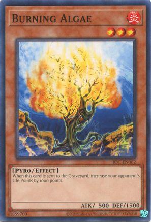Burning Algae (IOC-EN062) - Invasion of Chaos (25th Anniversary Edition) Unlimited Invasion of Chaos (25th Anniversary Edition) Yugioh Single  Squirtle Squad Card Shop.