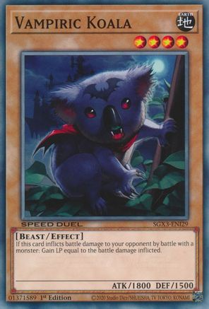 Vampiric Koala (SGX3-ENI29) - Speed Duel GX: Duelists of Shadows 1st Edition Speed Duel GX: Duelists of Shadows Yugioh Single  Squirtle Squad Card Shop.