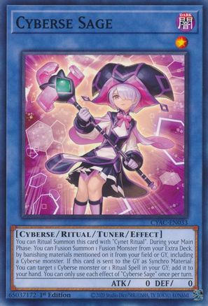Cyberse Sage (CYAC-EN033) - Cyberstorm Access 1st Edition Cyberstorm Access Yugioh Single  Squirtle Squad Card Shop.