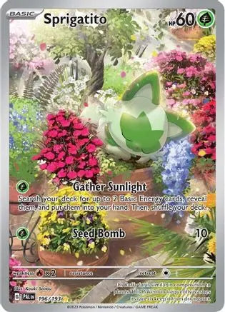 Sprigatito 196/193  - Holofoil SV02 Paldea Evolved - Illustration Rare SV02: Paldea Evolved Pokemon Single  Squirtle Squad Card Shop.