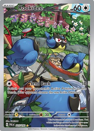 Rookidee 225/193  - Holofoil SV02 Paldea Evolved - Illustration Rare SV02: Paldea Evolved Pokemon Single  Squirtle Squad Card Shop.