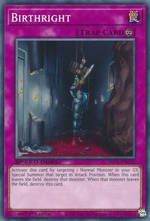Birthright (SBC1-ENG18) - Speed Duel: Streets of Battle City 1st Edition Speed Duel: Streets of Battle City Yugioh Single  Squirtle Squad Card Shop.