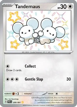 Tandemaus 209/091  - Holofoil SV Paldean Fates - Shiny Rare SV: Paldean Fates Pokemon Single  Squirtle Squad Card Shop.