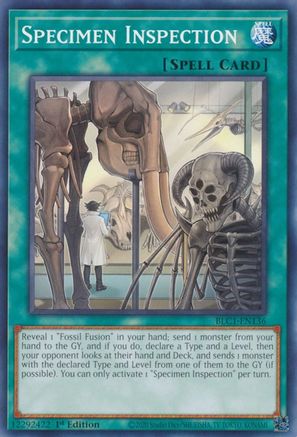 Specimen Inspection (BLC1-EN136) - Battles of Legend: Chapter 1 1st Edition Battles of Legend: Chapter 1 Yugioh Single  Squirtle Squad Card Shop.
