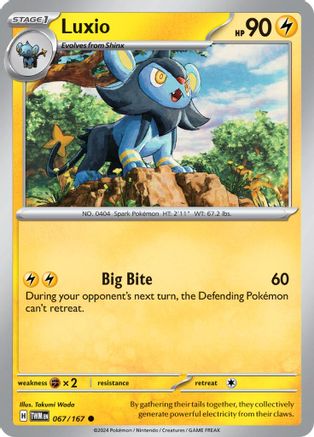 Luxio 067  SV06 Twilight Masquerade - Common SV06: Twilight Masquerade Pokemon Single  Squirtle Squad Card Shop.