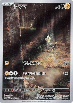 Blitzle - 072/066 (072/066) - SV4M Future Flash Holofoil SV4M: Future Flash Pokemon Japanese Single  Squirtle Squad Card Shop.