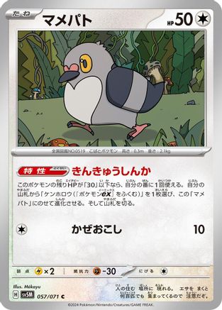 Pidove (057/071) - SV5M Cyber Judge SV5M: Cyber Judge Pokemon Japanese Single  Squirtle Squad Card Shop.
