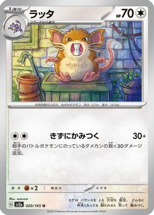 Raticate (020/165) - SV2a Pokemon Card 151 SV2a: Pokemon Card 151 Pokemon Japanese Single  Squirtle Squad Card Shop.