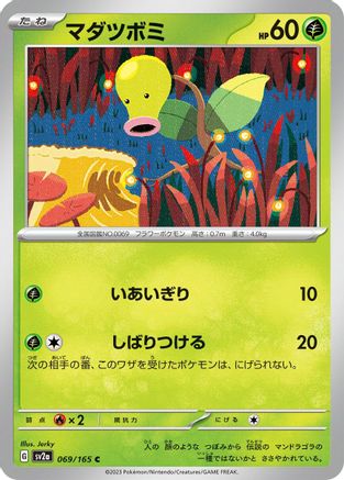 Bellsprout (069/165) - SV2a Pokemon Card 151 SV2a: Pokemon Card 151 Pokemon Japanese Single  Squirtle Squad Card Shop.