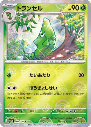 Metapod (Poke Ball Pattern) (011/165) - SV2a Pokemon Card 151 Holofoil SV2a: Pokemon Card 151 Pokemon Japanese Single  Squirtle Squad Card Shop.