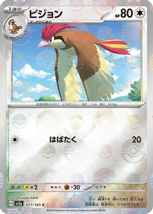 Pidgeotto (Poke Ball Pattern) (017/165) - SV2a Pokemon Card 151 Holofoil SV2a: Pokemon Card 151 Pokemon Japanese Single  Squirtle Squad Card Shop.