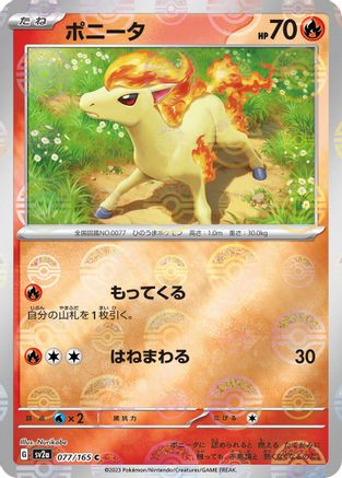 Ponyta (Poke Ball Pattern) (077/165) - SV2a Pokemon Card 151 Holofoil SV2a: Pokemon Card 151 Pokemon Japanese Single  Squirtle Squad Card Shop.