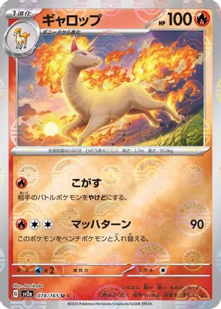 Rapidash (Poke Ball Pattern) (078/165) - SV2a Pokemon Card 151 Holofoil SV2a: Pokemon Card 151 Pokemon Japanese Single  Squirtle Squad Card Shop.