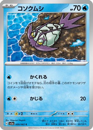Wimpod (009/062) - SV3a Raging Surf SV3a: Raging Surf Pokemon Japanese Single  Squirtle Squad Card Shop.