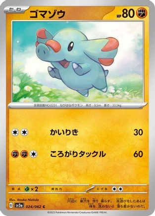 Phanpy (024/062) - SV3a Raging Surf SV3a: Raging Surf Pokemon Japanese Single  Squirtle Squad Card Shop.