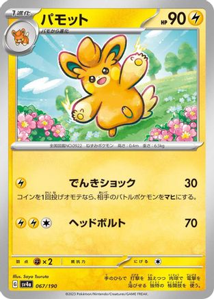 Pawmo - 067/190 (067/190) - SV4a Shiny Treasure ex SV4a: Shiny Treasure ex Pokemon Japanese Single  Squirtle Squad Card Shop.