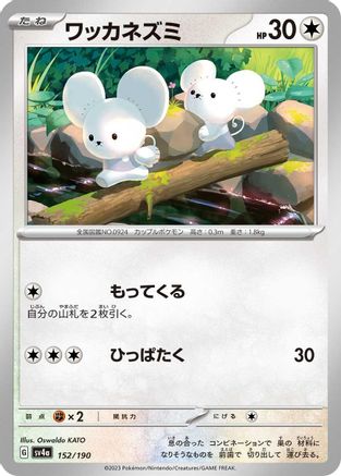 Tandemaus - 152/190 (152/190) - SV4a Shiny Treasure ex SV4a: Shiny Treasure ex Pokemon Japanese Single  Squirtle Squad Card Shop.