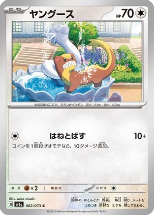 Yungoos (062/073) - SV1a Triplet Beat SV1a: Triplet Beat Pokemon Japanese Single  Squirtle Squad Card Shop.