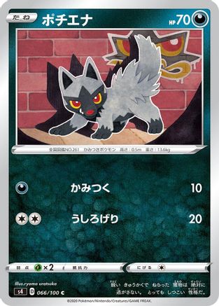 Poochyena (066/100) - S4 Amazing Volt Tackle S4: Amazing Volt Tackle Pokemon Japanese Single  Squirtle Squad Card Shop.