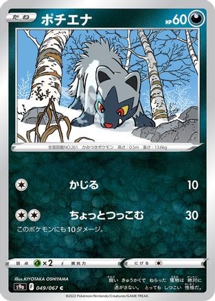 Poochyena (049/067) - S9a Battle Region S9a: Battle Region Pokemon Japanese Single  Squirtle Squad Card Shop.