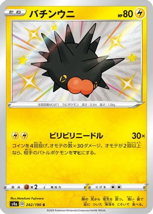 Pincurchin - 242/190 (242/190) - S4a Shiny Star V Holofoil S4a: Shiny Star V Pokemon Japanese Single  Squirtle Squad Card Shop.