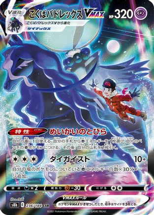 Shadow Rider Calyrex VMAX - 236/184 (236/184) - S8b VMAX Climax Holofoil S8b: VMAX Climax Pokemon Japanese Single  Squirtle Squad Card Shop.