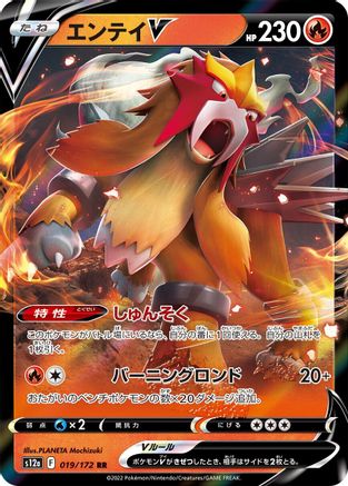 Entei V - 019/172 (019/172) - S12a VSTAR Universe Holofoil S12a: VSTAR Universe Pokemon Japanese Single  Squirtle Squad Card Shop.