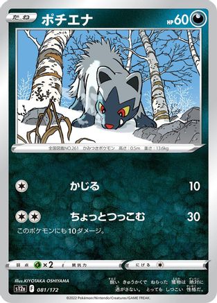 Poochyena - 081/172 (081/172) - S12a VSTAR Universe S12a: VSTAR Universe Pokemon Japanese Single  Squirtle Squad Card Shop.