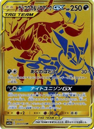 Greninja & Zoroark GX - 223/173 (223/173) - SM12a TAG TEAM GX Tag All Stars Holofoil SM12a: TAG TEAM GX: Tag All Stars Pokemon Japanese Single  Squirtle Squad Card Shop.