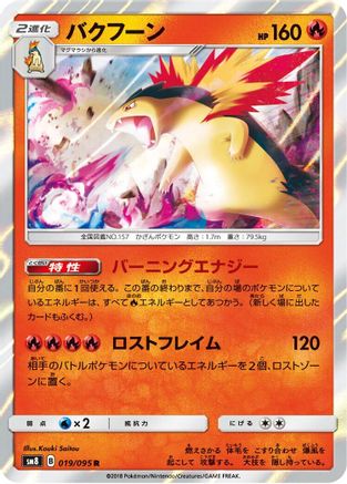 Typhlosion (019/095) - SM8 SuperBurst Impact Holofoil SM8: Super-Burst Impact Pokemon Japanese Single  Squirtle Squad Card Shop.