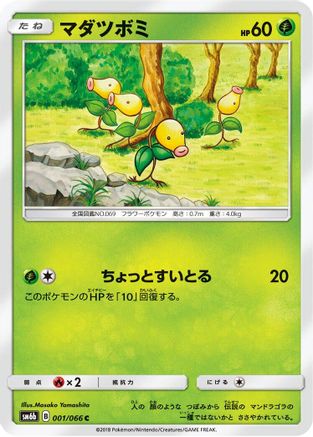 Bellsprout (001/066) - SM6b Champion Road SM6b: Champion Road Pokemon Japanese Single  Squirtle Squad Card Shop.