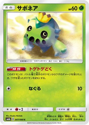 Cacnea (007/066) - SM6b Champion Road SM6b: Champion Road Pokemon Japanese Single  Squirtle Squad Card Shop.
