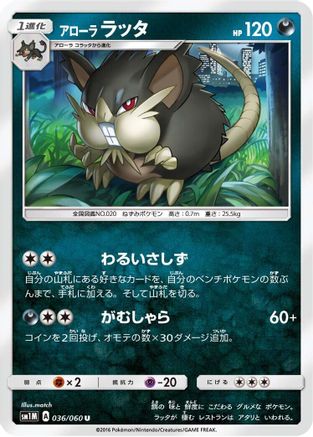 Alolan Raticate (036/060) - SM1M Collection Moon SM1M: Collection Moon Pokemon Japanese Single  Squirtle Squad Card Shop.