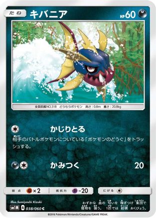 Carvanha (038/060) - SM1M Collection Moon SM1M: Collection Moon Pokemon Japanese Single  Squirtle Squad Card Shop.
