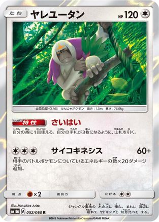 Oranguru (052/060) - SM1M Collection Moon Holofoil SM1M: Collection Moon Pokemon Japanese Single  Squirtle Squad Card Shop.