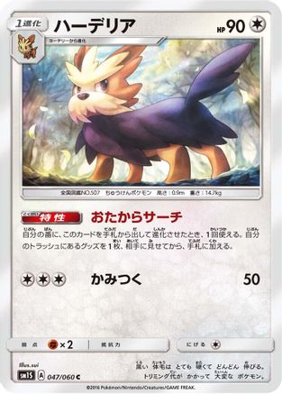 Herdier (047/060) - SM1S Collection Sun SM1S: Collection Sun Pokemon Japanese Single  Squirtle Squad Card Shop.