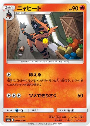 Torracat (002/052) - SM8a Dark Order SM8a: Dark Order Pokemon Japanese Single  Squirtle Squad Card Shop.
