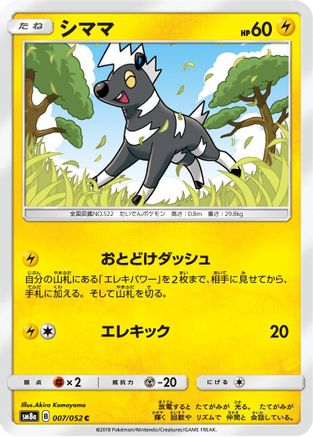 Blitzle (007/052) - SM8a Dark Order SM8a: Dark Order Pokemon Japanese Single  Squirtle Squad Card Shop.